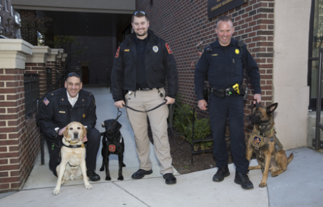 K9 Units at Barkswalk Community Event