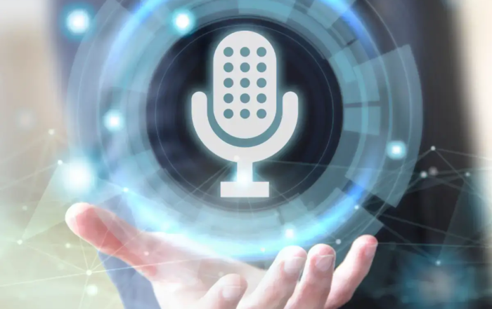 Voice Search Optimization & Tips