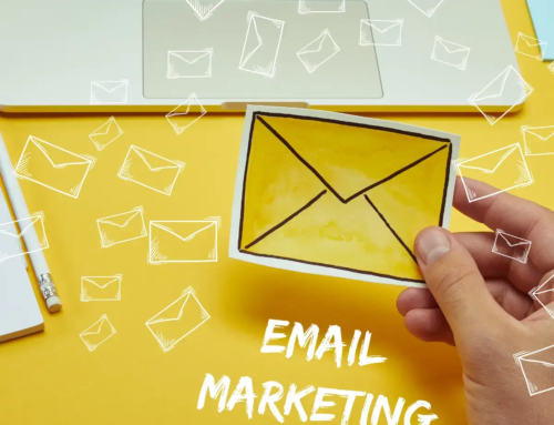 Which Email Marketing Platform Is Best for Your Business?