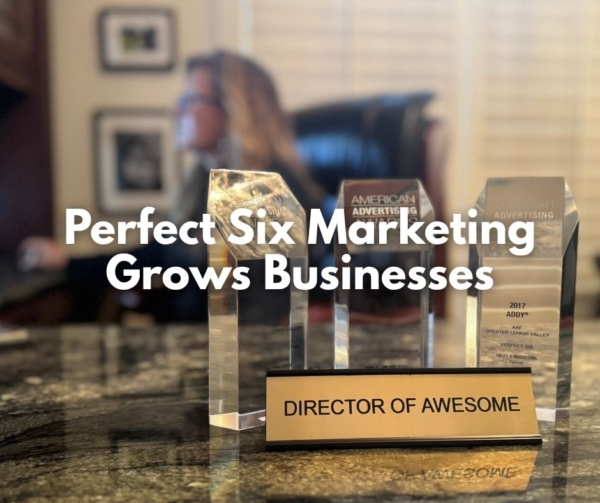 A woman on a computer in the background with awards on desk to show an agency that grows businesses.